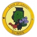 Illinois Pin IL State Emblem Hat Lapel Pins